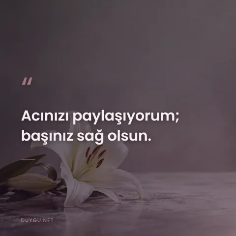 Acınızı paylaşıyorum; başınız sağ olsun.