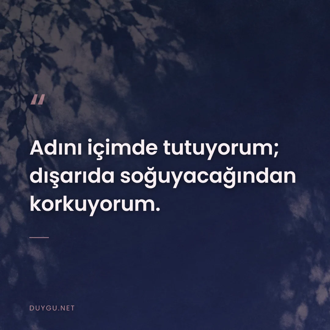 Resimli söz: Adını içimde tutuyorum; dışarıda soğuyacağından korkuyorum.