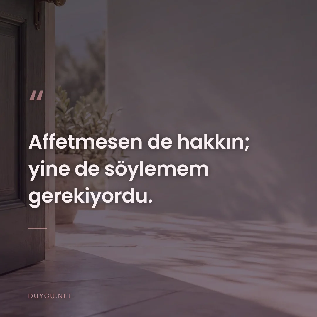 Resimli söz: Affetmesen de hakkın; yine de söylemem gerekiyordu.