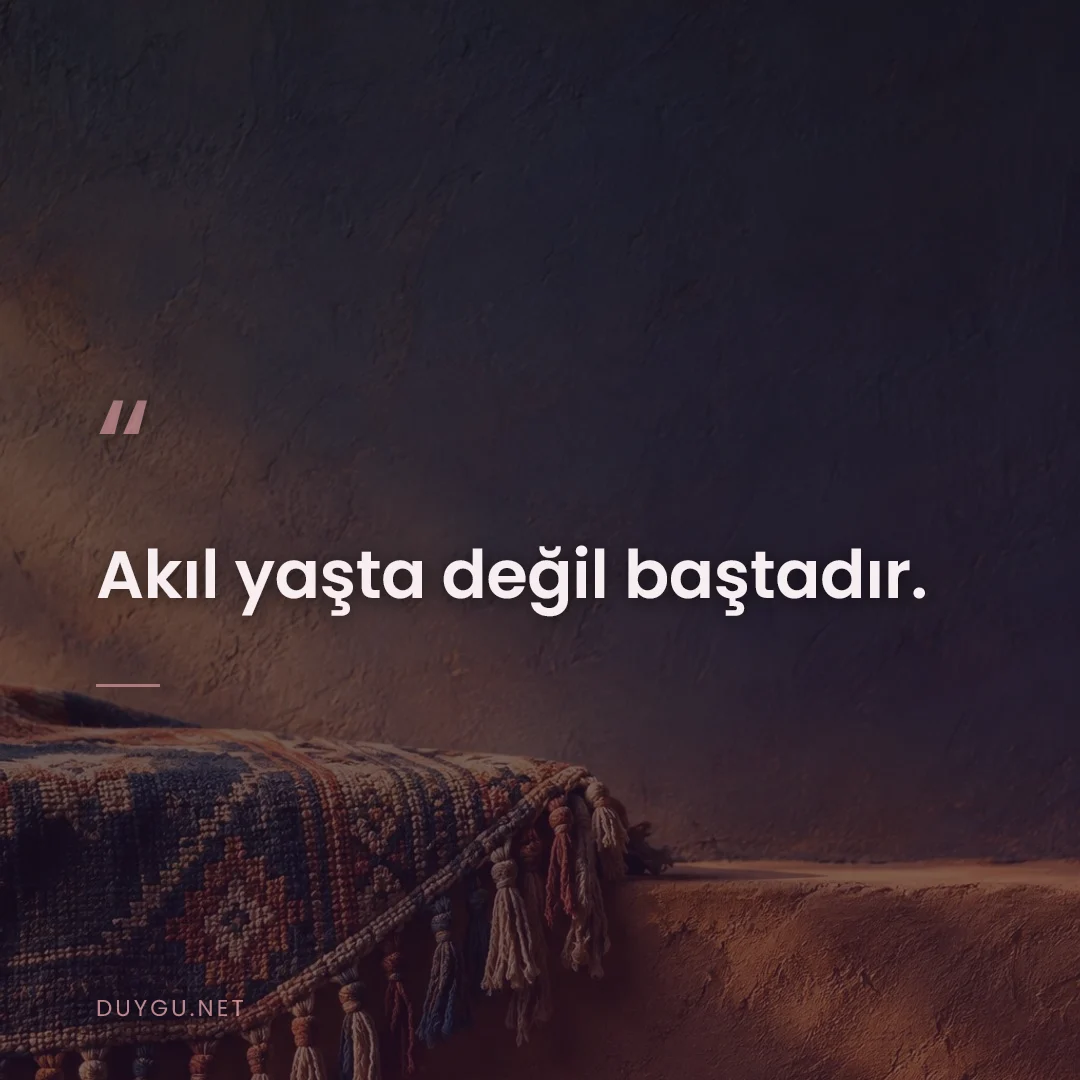 Resimli söz: Akıl yaşta değil baştadır.