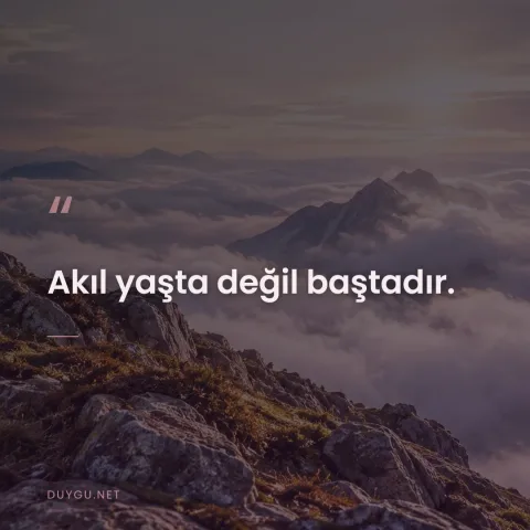 Akıl yaşta değil baştadır.