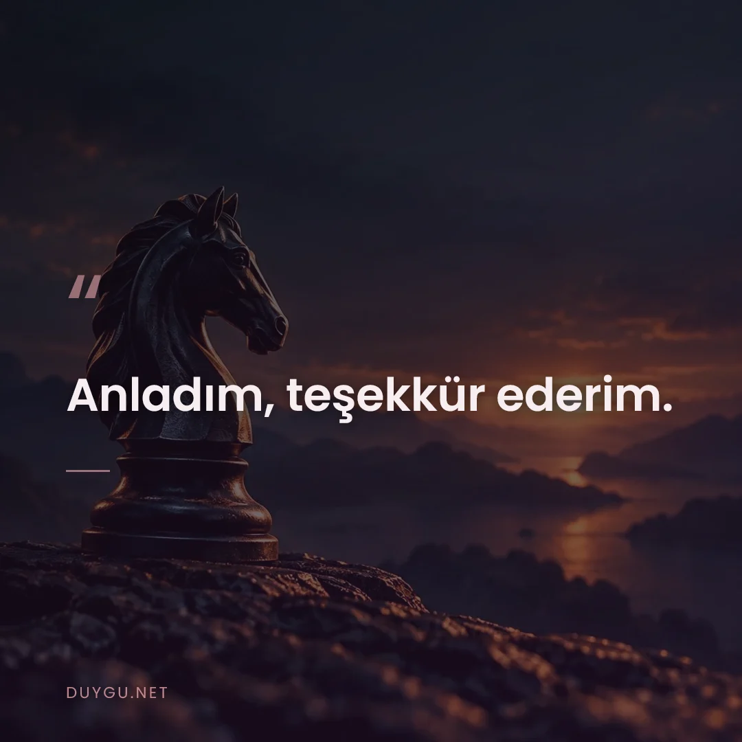Resimli söz: Anladım, teşekkür ederim.