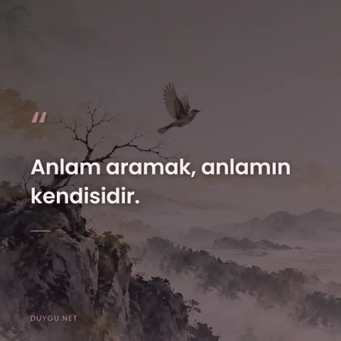 Anlam aramak, anlamın kendisidir.