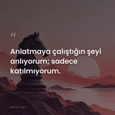 Anlatmaya çalıştığın şeyi anlıyorum; sadece katılmıyorum.