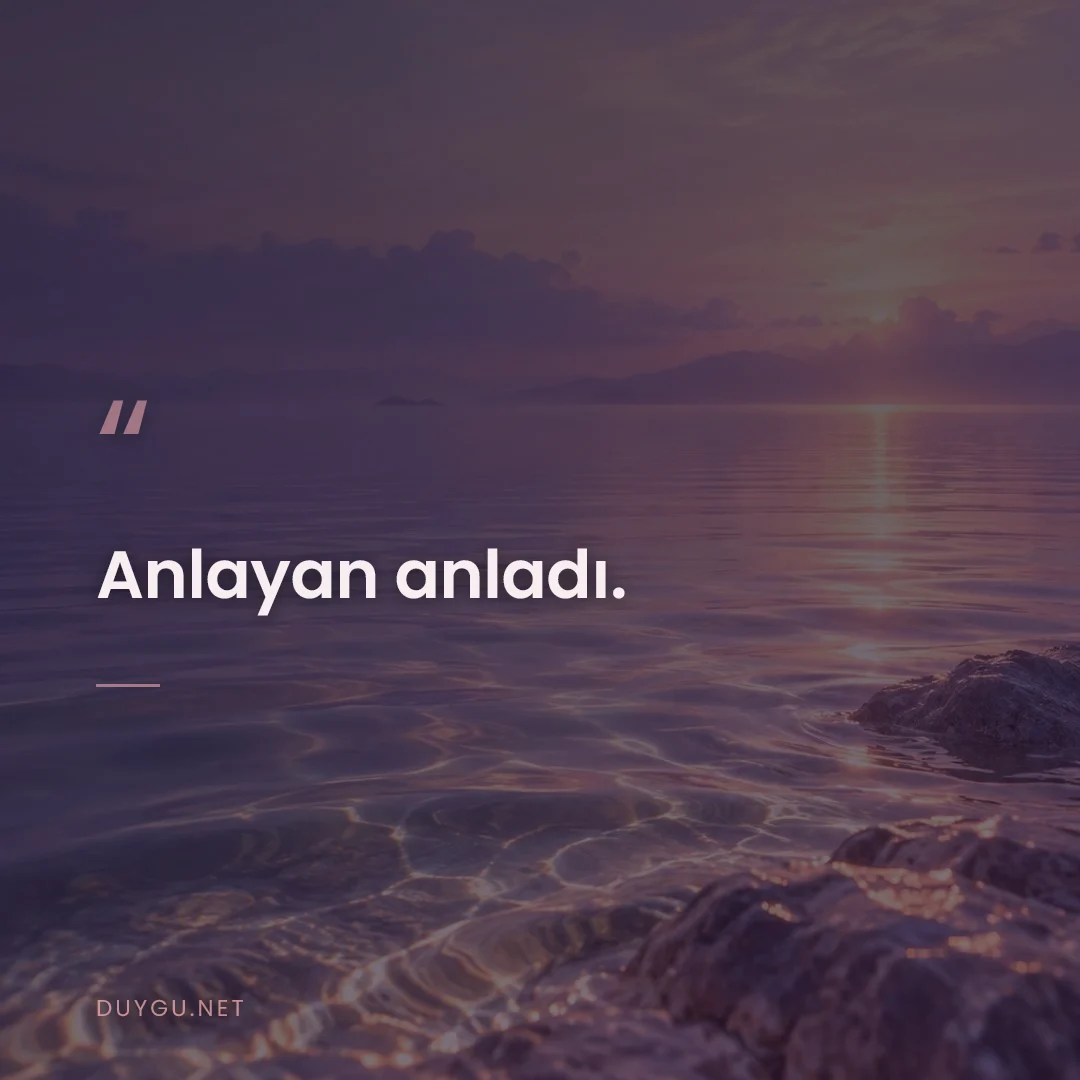 Resimli söz: Anlayan anladı.