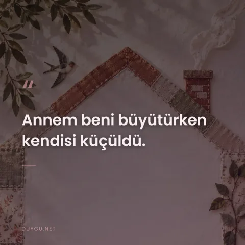 Annem beni büyütürken kendisi küçüldü.