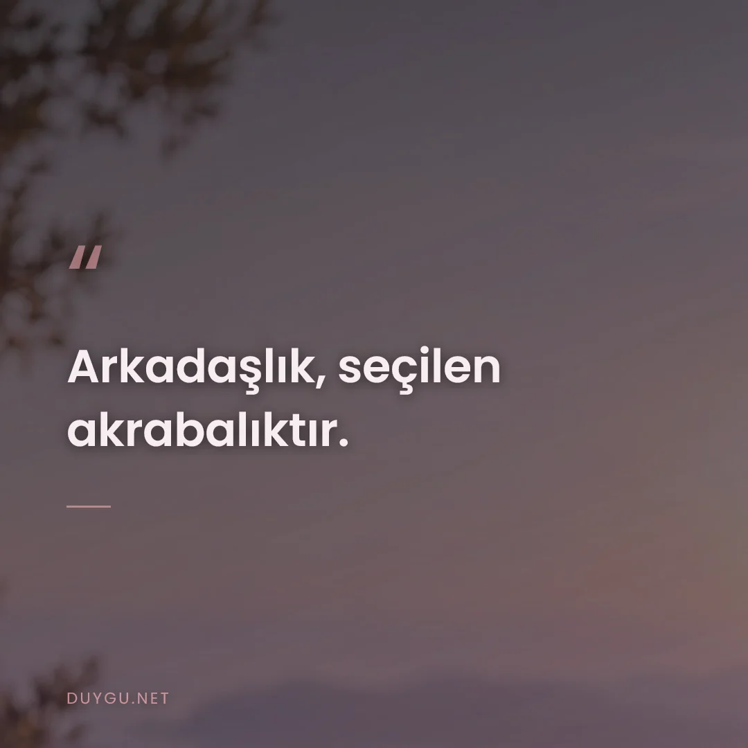 Resimli söz: Arkadaşlık, seçilen akrabalıktır.