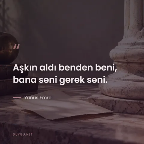 Aşkın aldı benden beni, bana seni gerek seni. — Yunus Emre