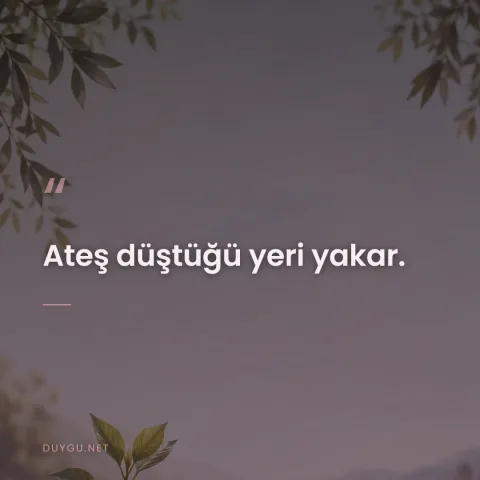 Ateş düştüğü yeri yakar.