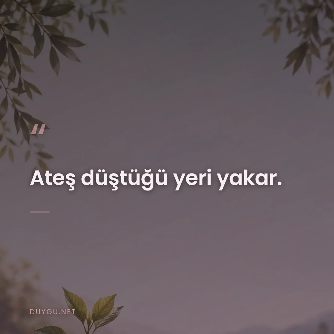 Resimli söz: Ateş düştüğü yeri yakar.
