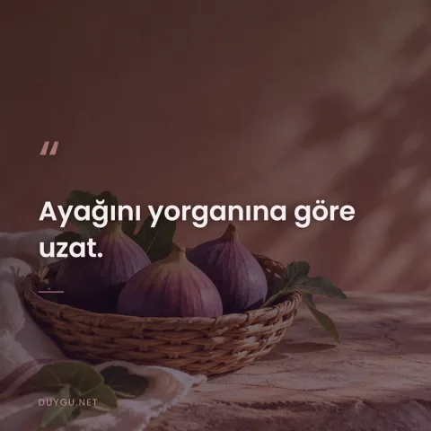 Ayağını yorganına göre uzat.