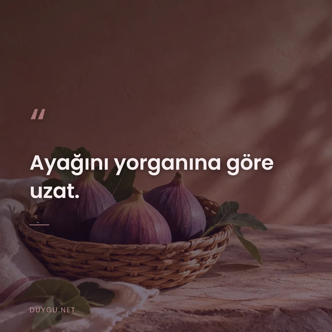 Resimli söz: Ayağını yorganına göre uzat.
