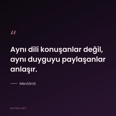 Aynı dili konuşanlar değil, aynı duyguyu paylaşanlar anlaşır. — Mevlânâ