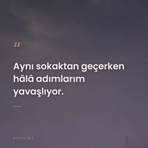 Aynı sokaktan geçerken hâlâ adımlarım yavaşlıyor.