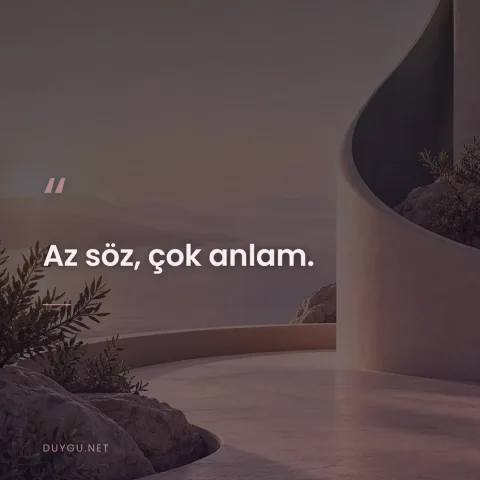 Az söz, çok anlam.