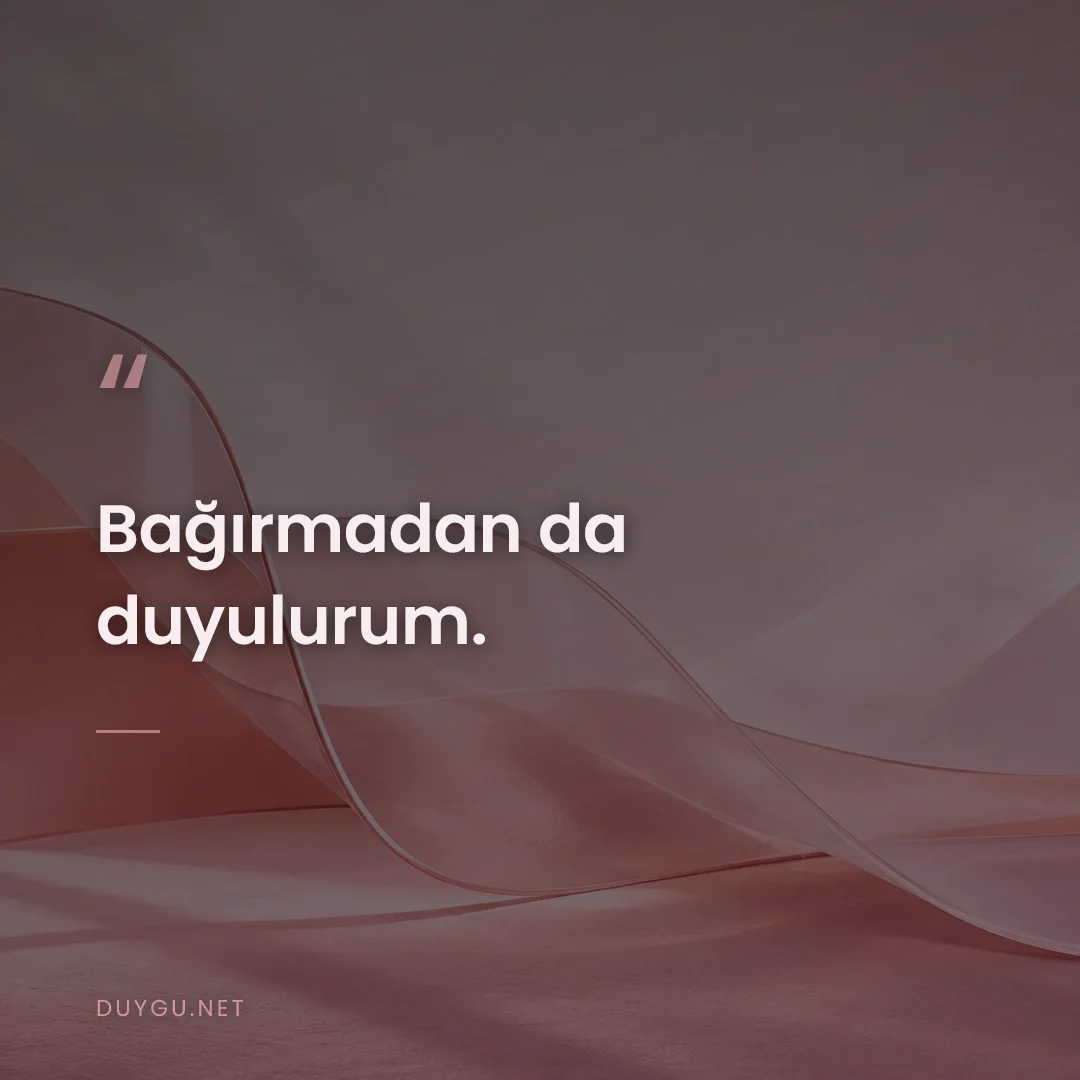 Resimli söz: Bağırmadan da duyulurum.