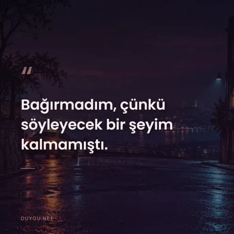 Bağırmadım, çünkü söyleyecek bir şeyim kalmamıştı.