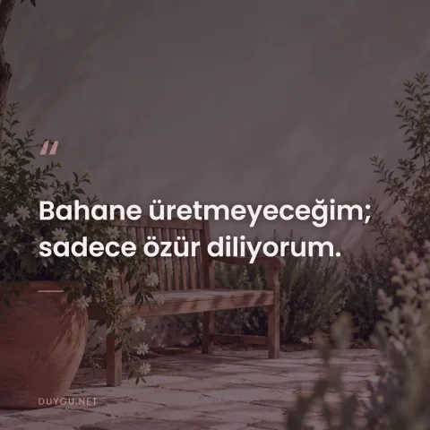 Bahane üretmeyeceğim; sadece özür diliyorum.
