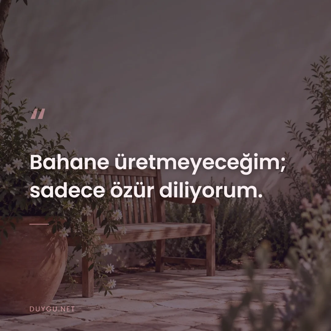 Resimli söz: Bahane üretmeyeceğim; sadece özür diliyorum.