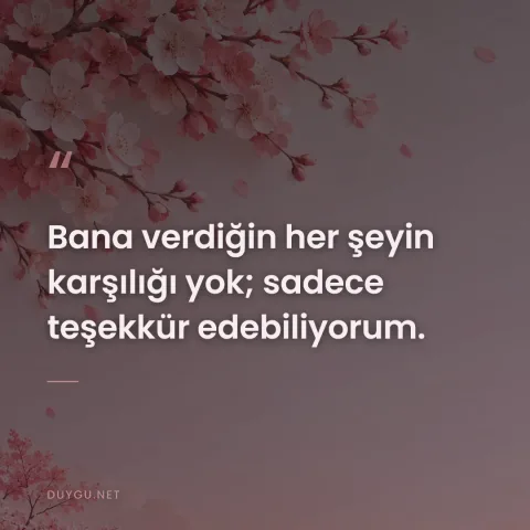 Bana verdiğin her şeyin karşılığı yok; sadece teşekkür edebiliyorum.