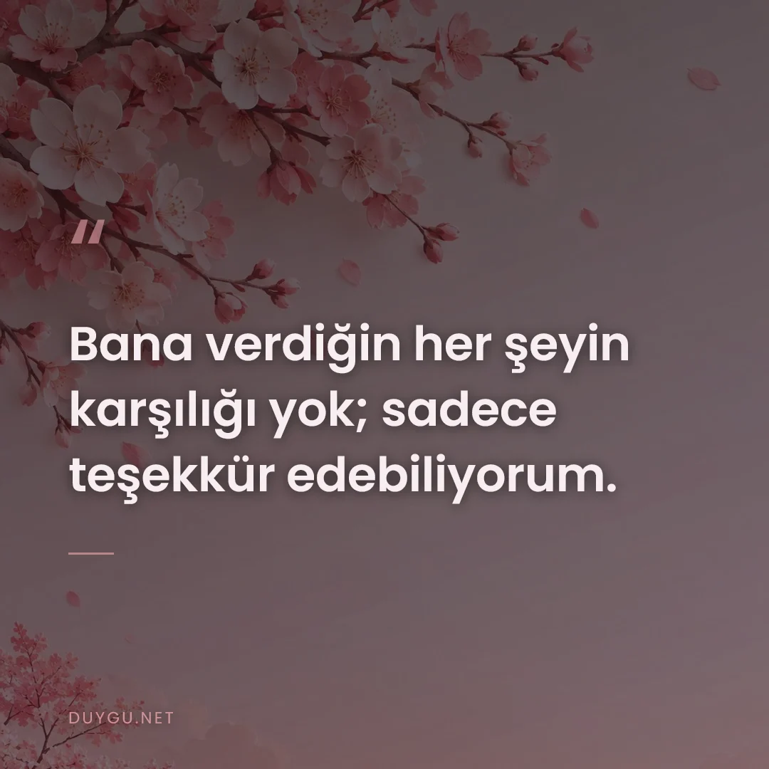 Resimli söz: Bana verdiğin her şeyin karşılığı yok; sadece teşekkür edebiliyorum.