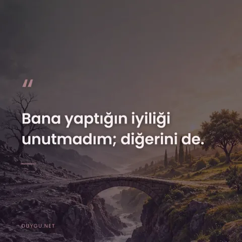Bana yaptığın iyiliği unutmadım; diğerini de.