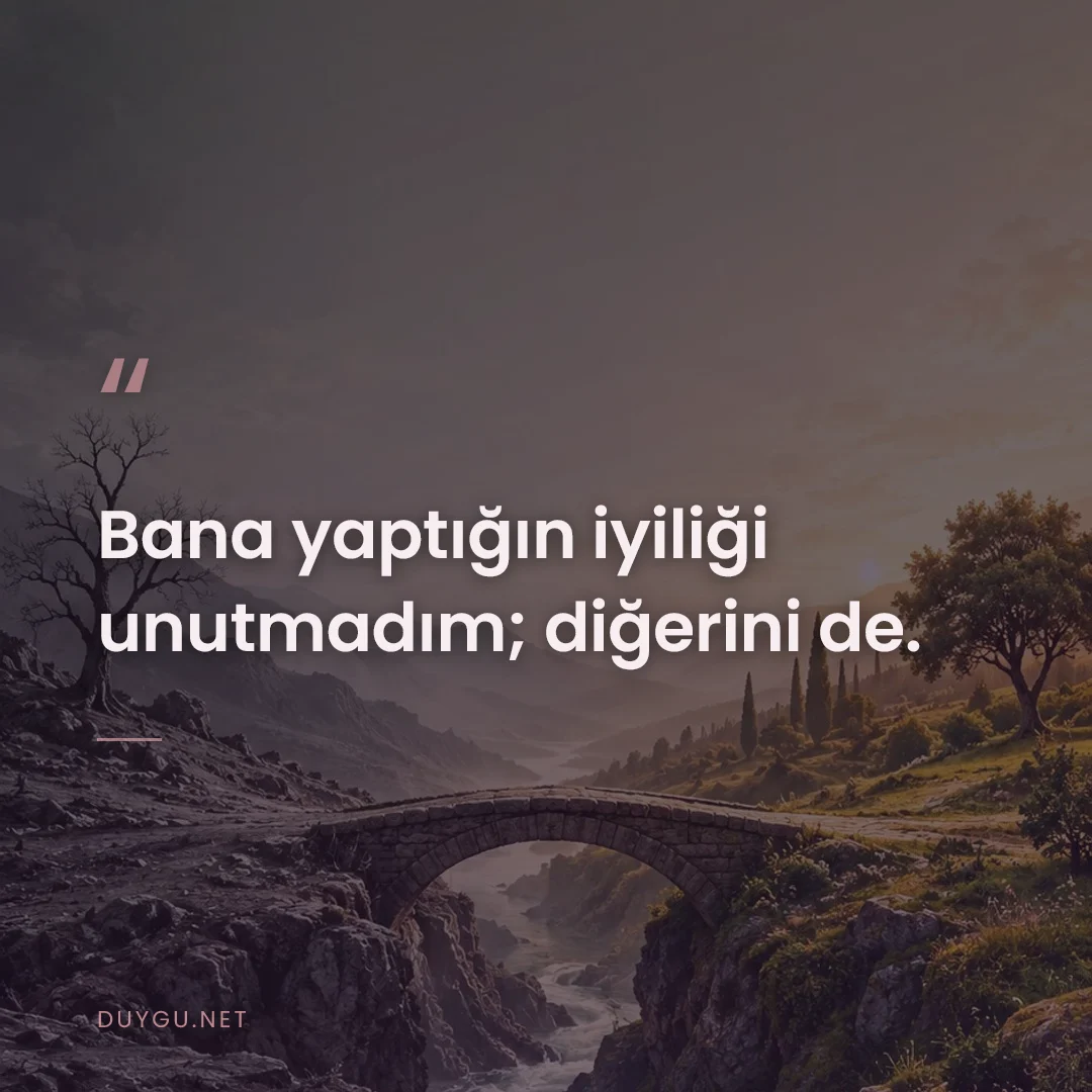 Resimli söz: Bana yaptığın iyiliği unutmadım; diğerini de.