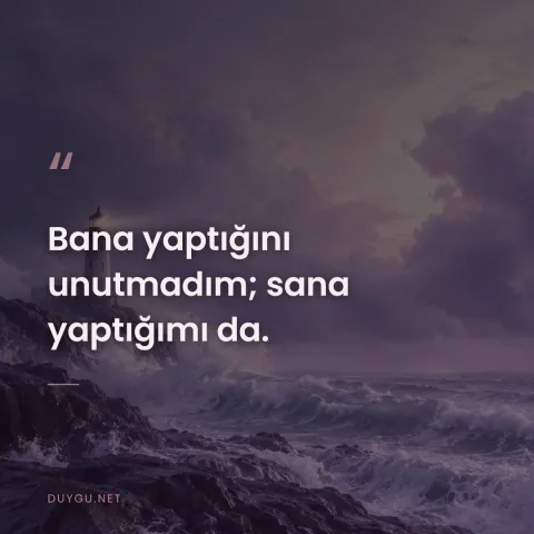 Bana yaptığını unutmadım; sana yaptığımı da.