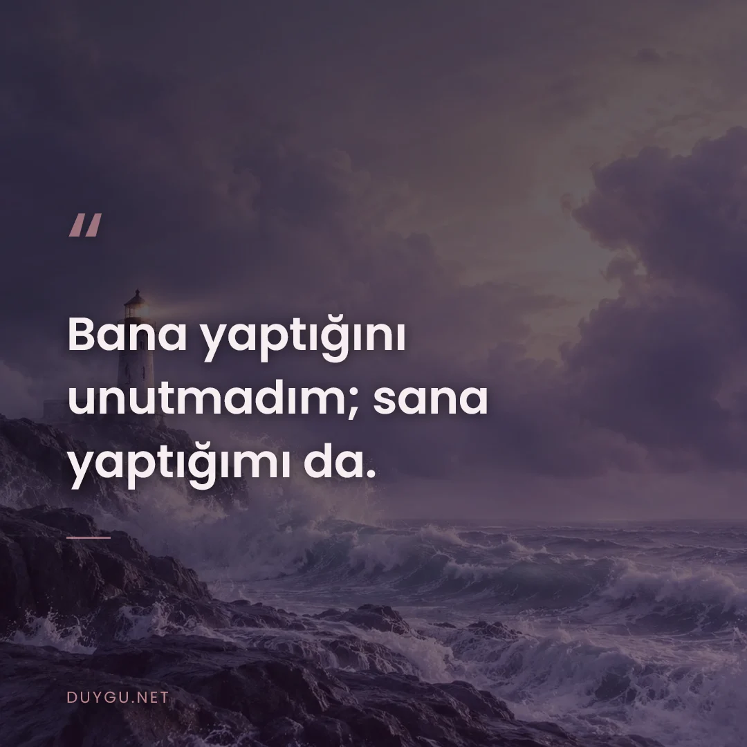 Resimli söz: Bana yaptığını unutmadım; sana yaptığımı da.