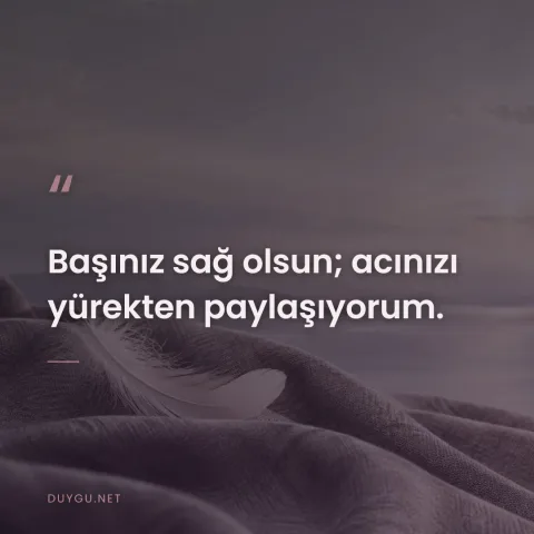 Başınız sağ olsun; acınızı yürekten paylaşıyorum.