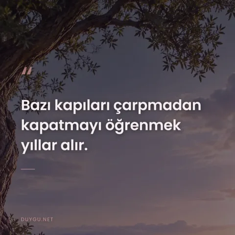 Bazı kapıları çarpmadan kapatmayı öğrenmek yıllar alır.