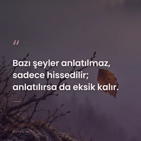 Bazı şeyler anlatılmaz, sadece hissedilir; anlatılırsa da eksik kalır.