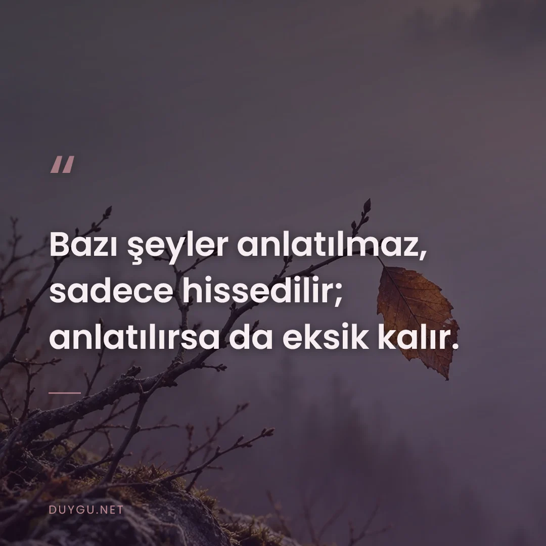 Resimli söz: Bazı şeyler anlatılmaz, sadece hissedilir; anlatılırsa da eksik kalır.