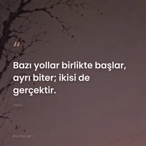 Bazı yollar birlikte başlar, ayrı biter; ikisi de gerçektir.