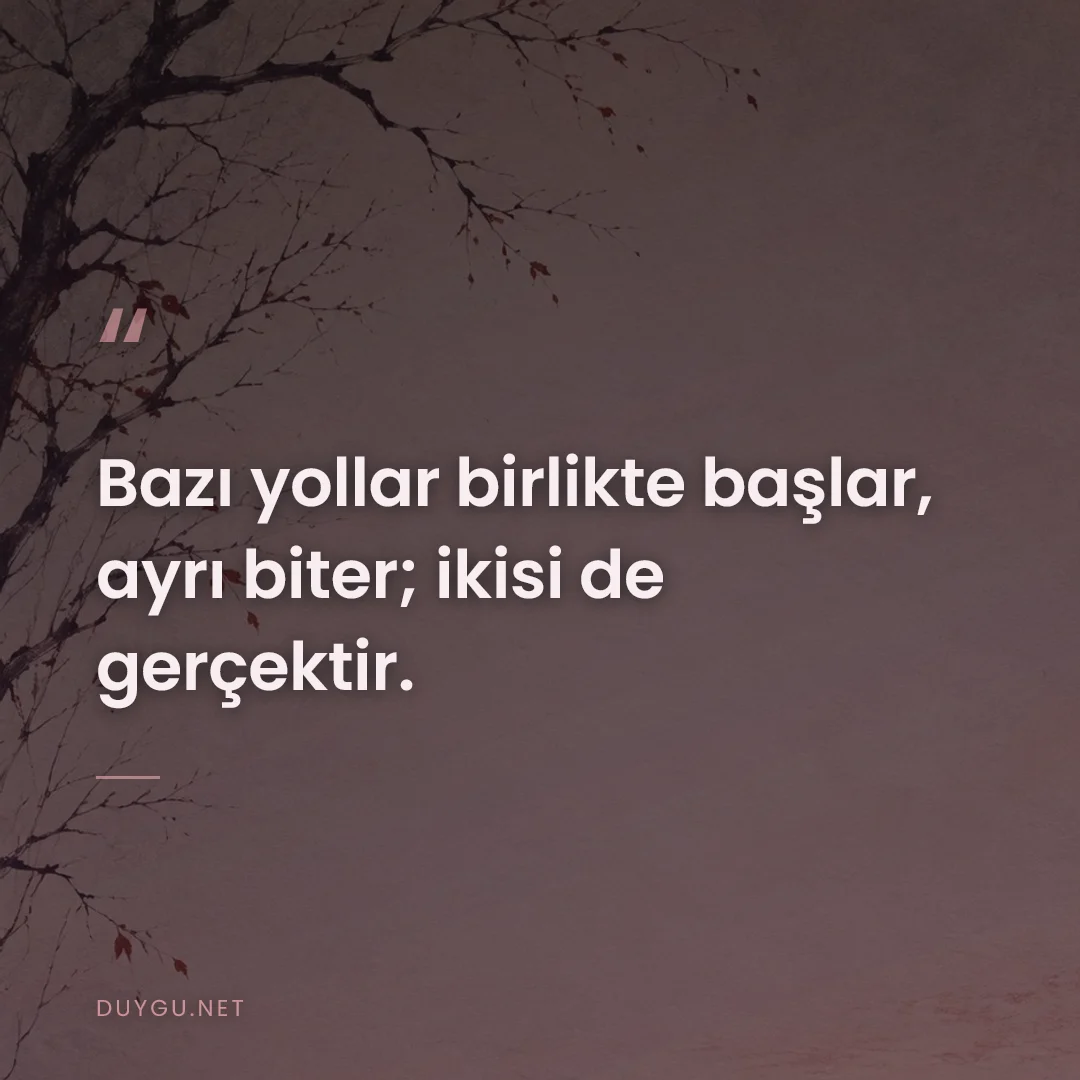 Resimli söz: Bazı yollar birlikte başlar, ayrı biter; ikisi de gerçektir.