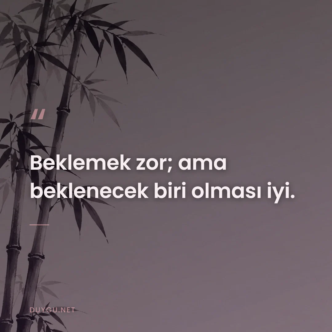 Resimli söz: Beklemek zor; ama beklenecek biri olması iyi.