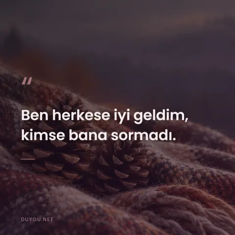 Ben herkese iyi geldim, kimse bana sormadı.