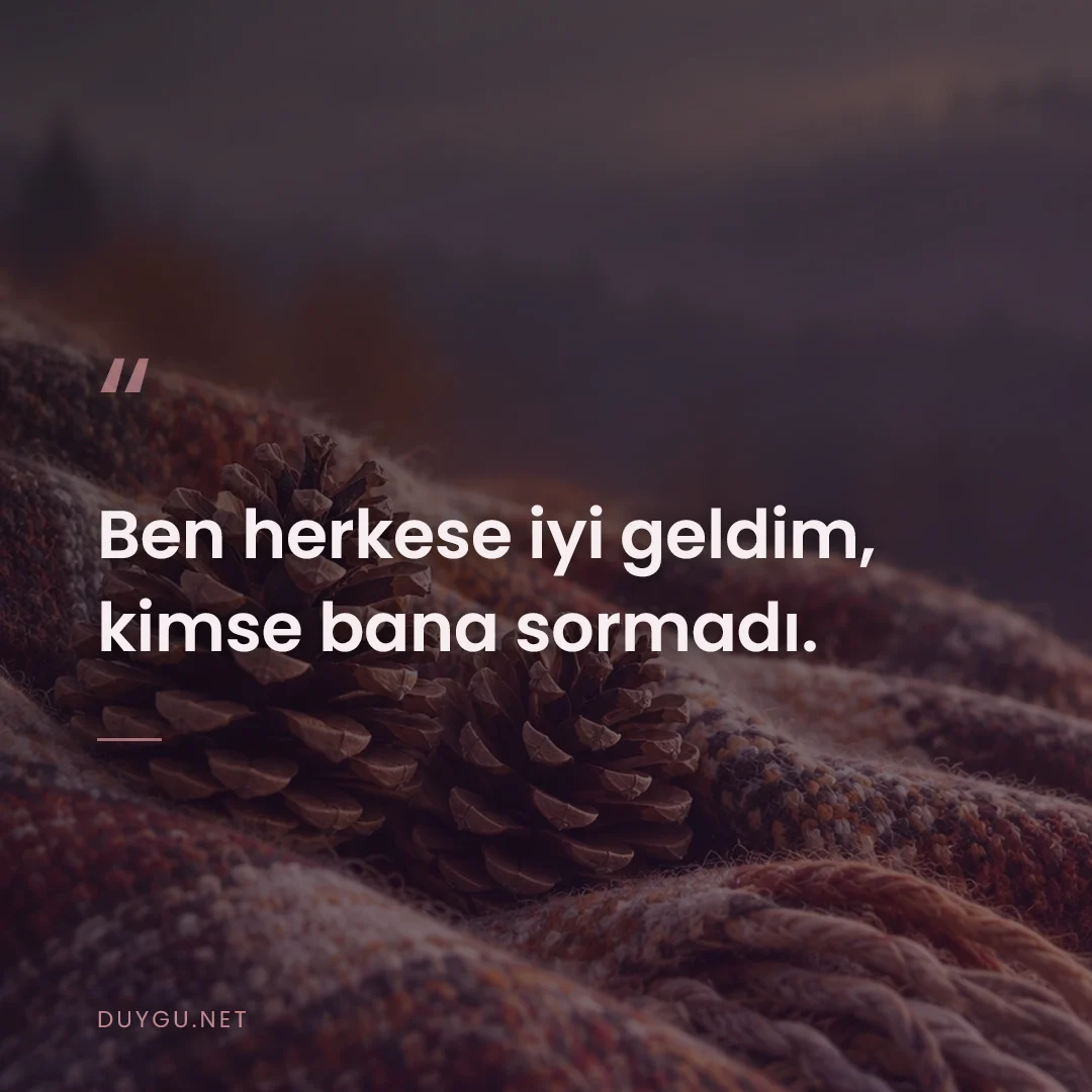Resimli söz: Ben herkese iyi geldim, kimse bana sormadı.