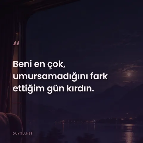 Beni en çok, umursamadığını fark ettiğim gün kırdın.