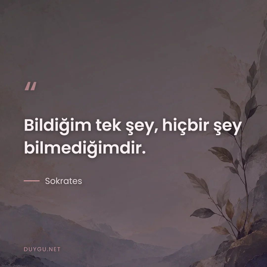 Resimli söz: Bildiğim tek şey, hiçbir şey bilmediğimdir.