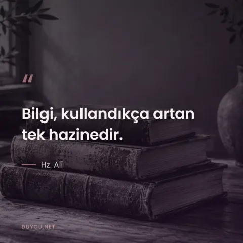 Bilgi, kullandıkça artan tek hazinedir. — Hz. Ali