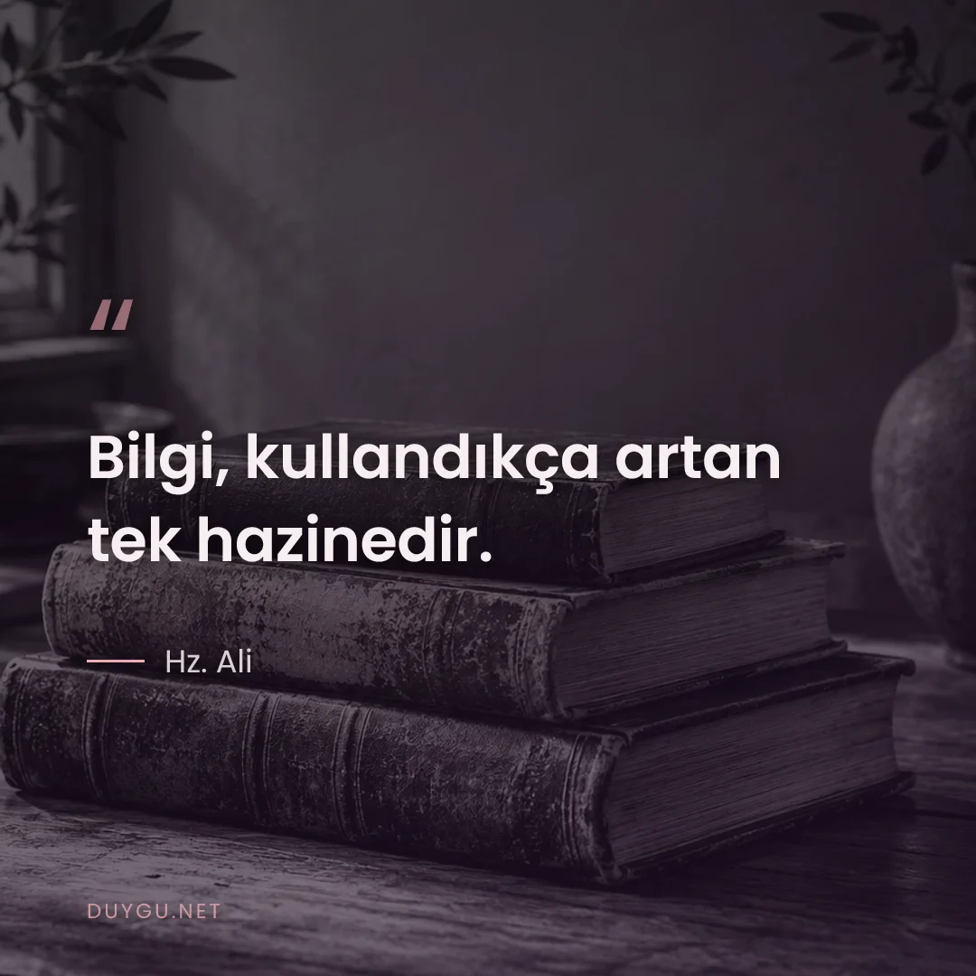 Resimli söz: Bilgi, kullandıkça artan tek hazinedir.