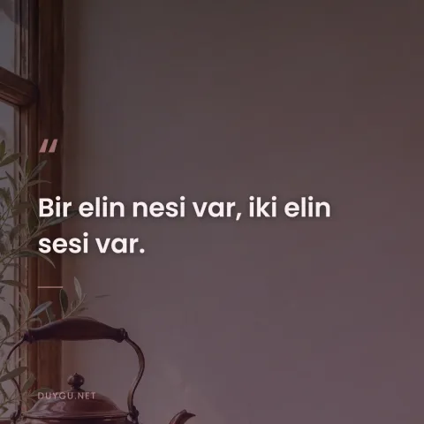 Bir elin nesi var, iki elin sesi var.