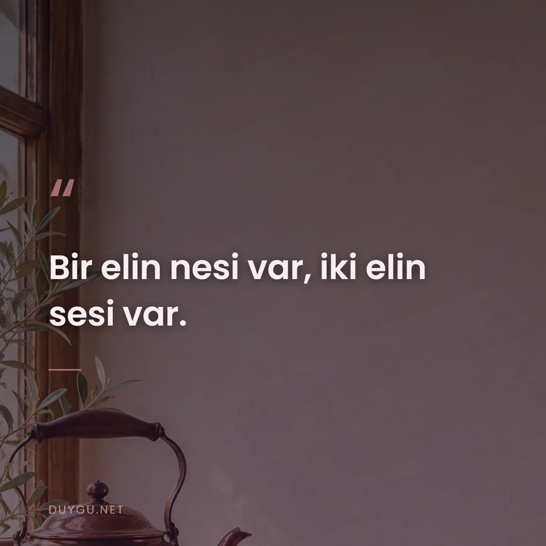 Resimli söz: Bir elin nesi var, iki elin sesi var.