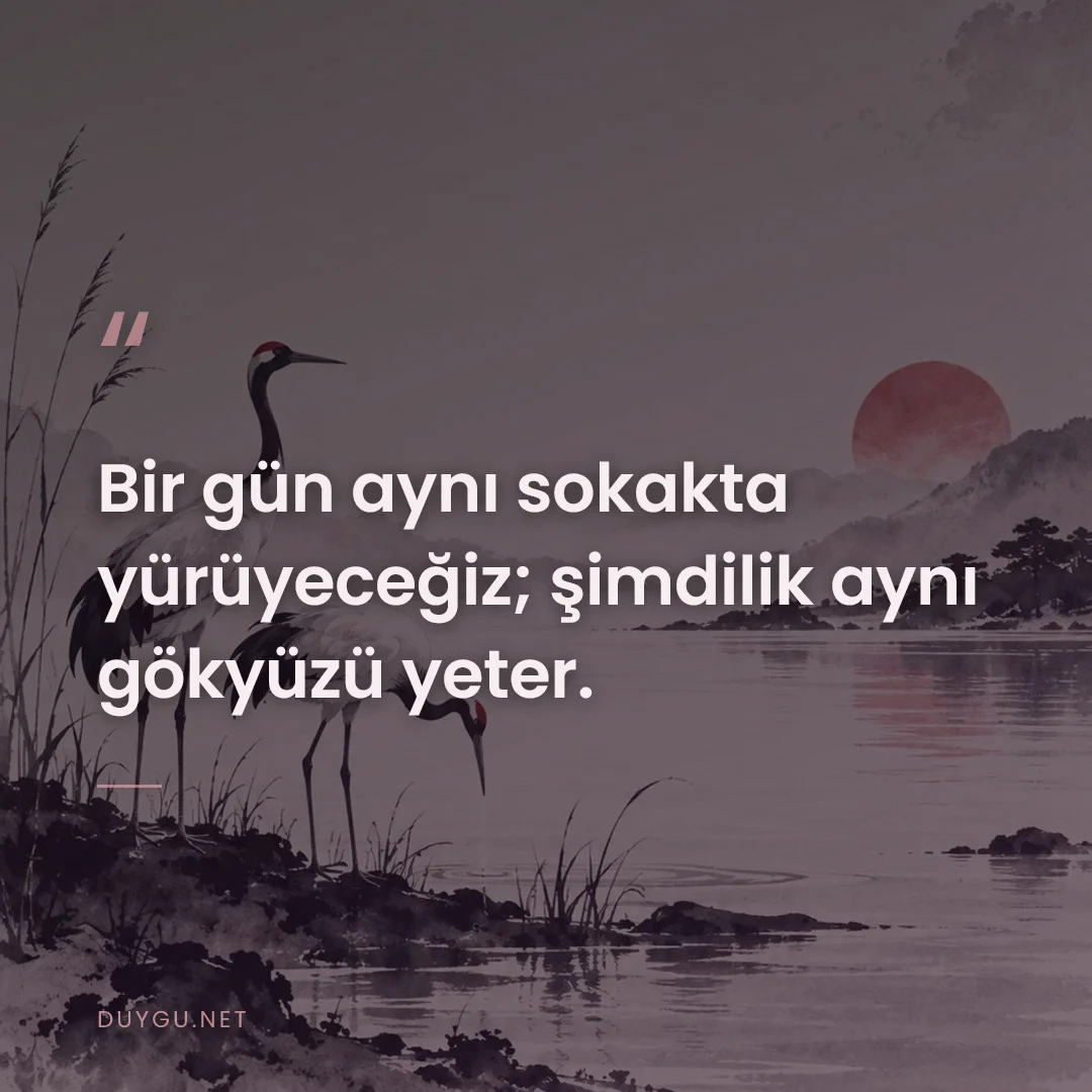 Resimli söz: Bir gün aynı sokakta yürüyeceğiz; şimdilik aynı gökyüzü yeter.
