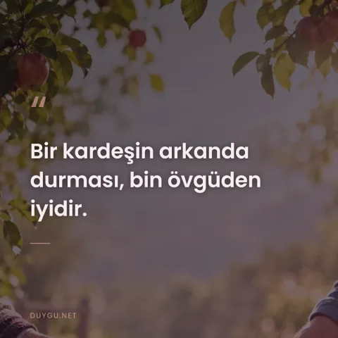 Bir kardeşin arkanda durması, bin övgüden iyidir.