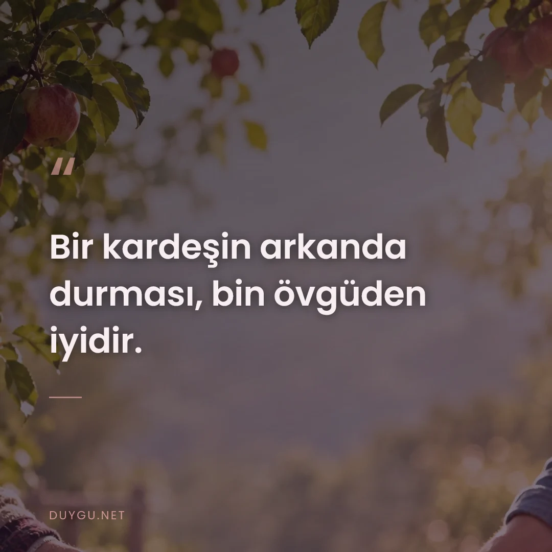Resimli söz: Bir kardeşin arkanda durması, bin övgüden iyidir.