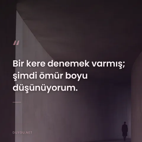 Bir kere denemek varmış; şimdi ömür boyu düşünüyorum.