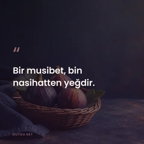 Bir musibet, bin nasihatten yeğdir.