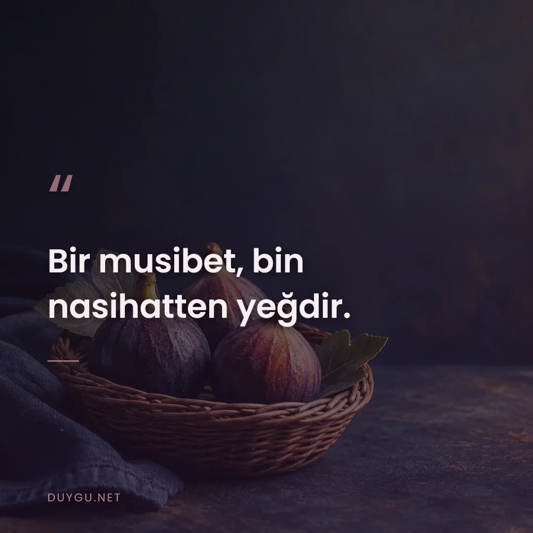Resimli söz: Bir musibet, bin nasihatten yeğdir.